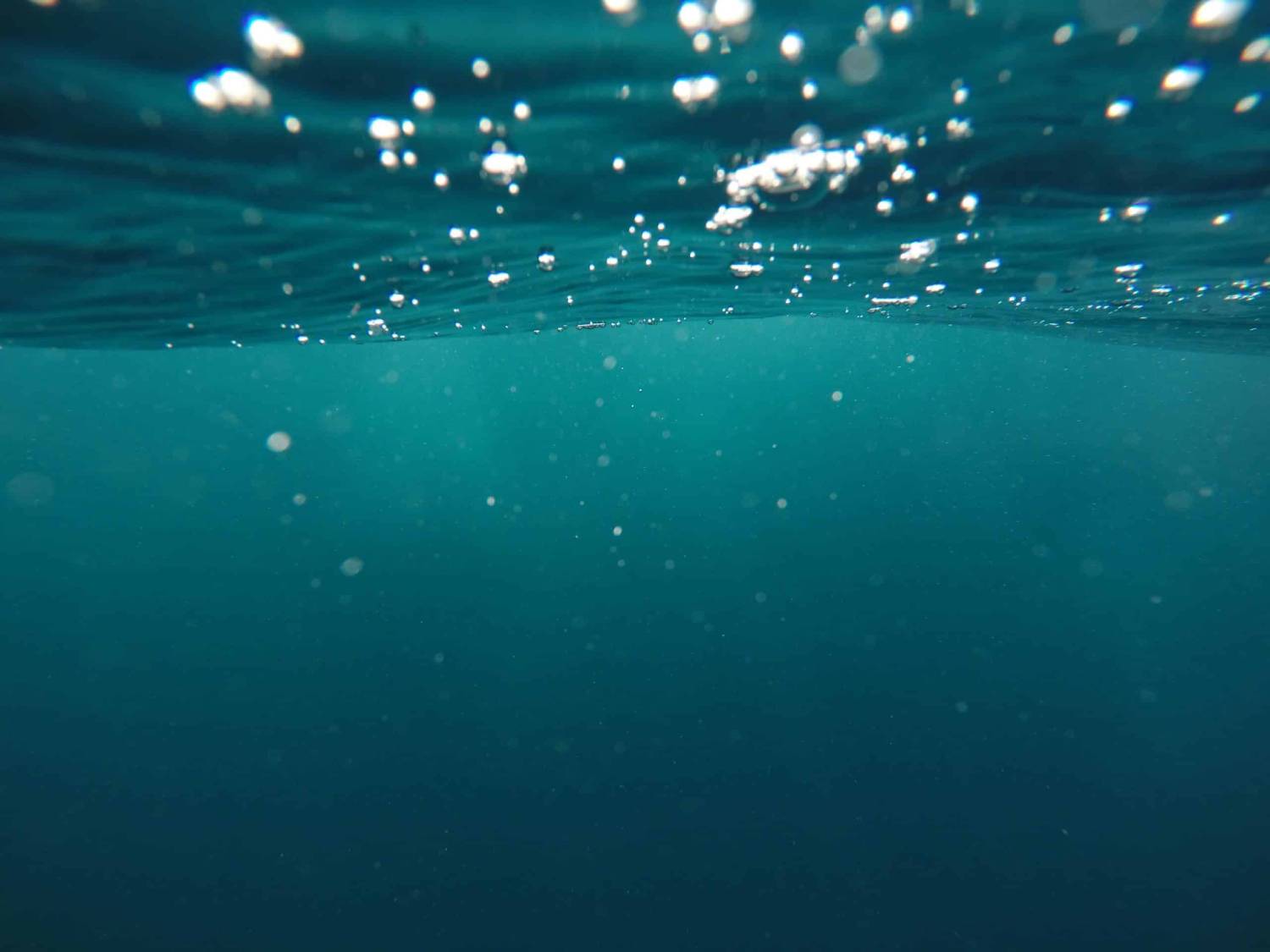 Underwater view showing the interface of air and water with bubbles illuminated by sunlight.