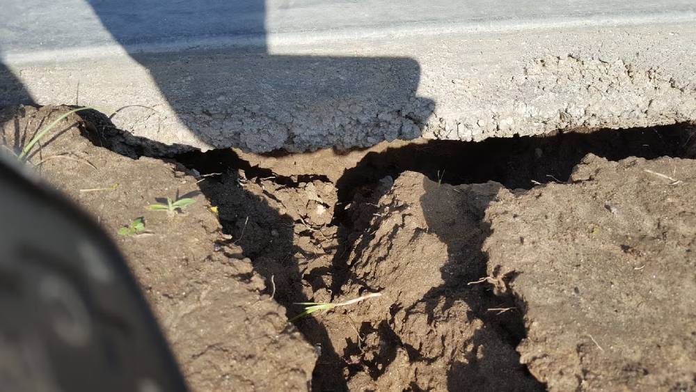 Close-up of a large crack in the ground beside a concrete edge, showing clumps of earth and small plants.