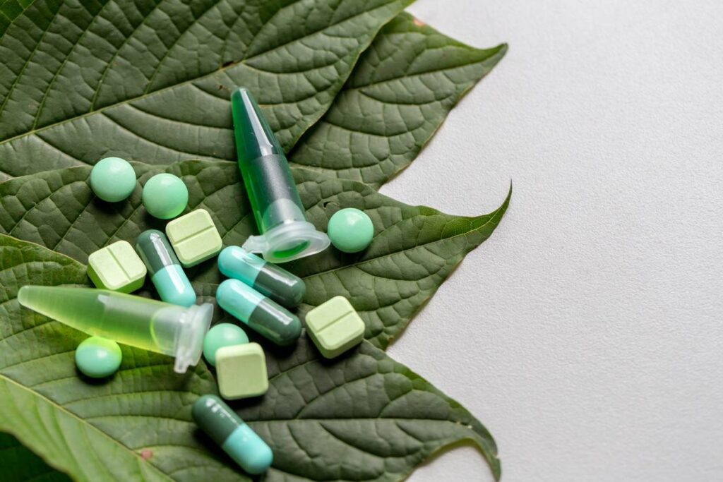 Various pills and a syringe on a large green leaf against a white background.