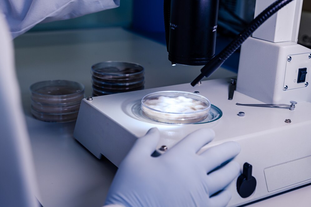 A scientist in gloves uses a microscope to examine a petri dish in a laboratory setting.